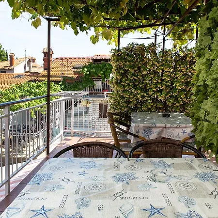 Apartmaji Pri Perotu *