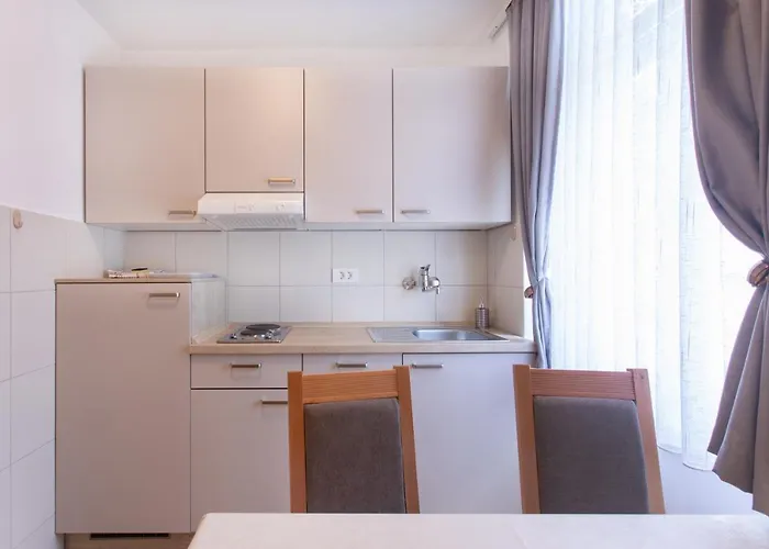 Apartmaji Pri Perotu Appartement